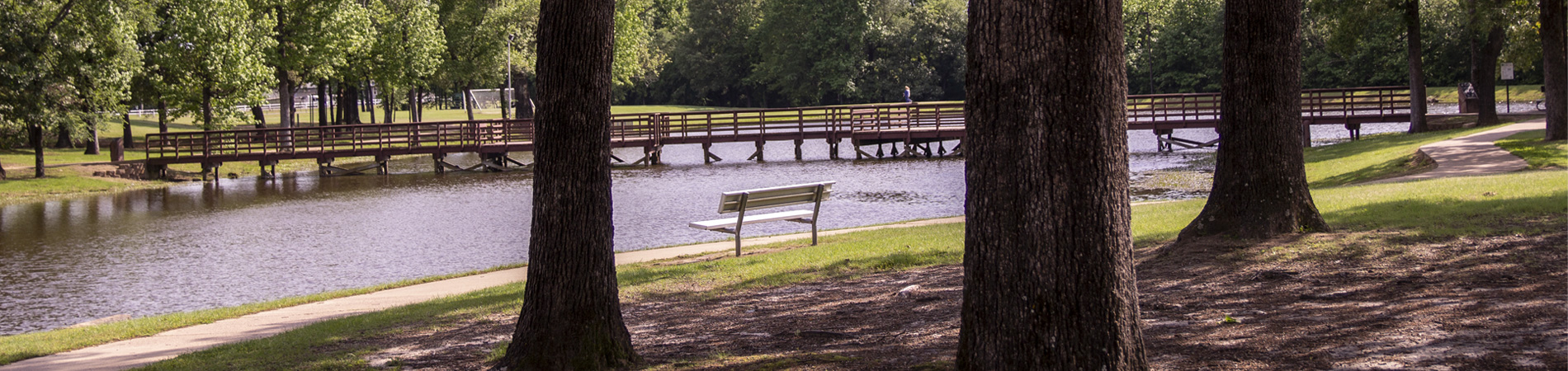 Bench Overlooking Lake at Heritage Park