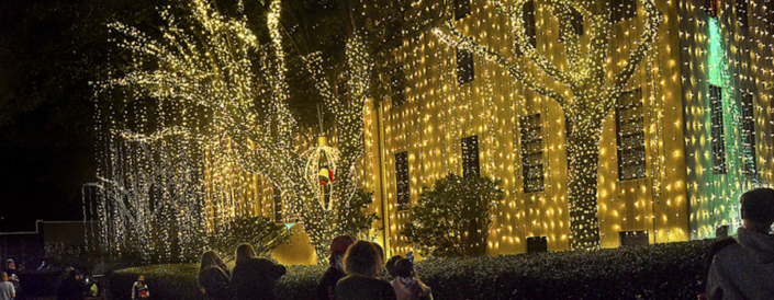 Downtown Christmas Lights