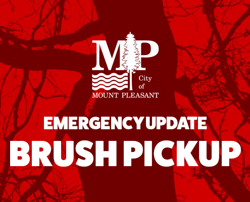 Emergency Brush Pick up Graphic.
